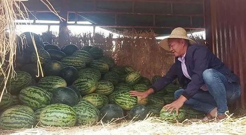 千佛山娱乐团队吃瓜群众