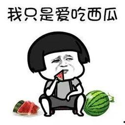 娱乐吃瓜酱不要慌,轻松应对娱乐圈风云变幻