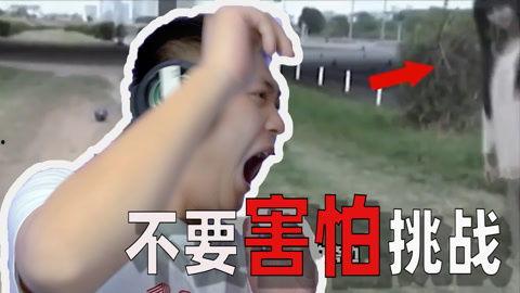 免费观看搞笑视频,欢乐无限来袭